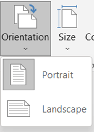 MS Word Page Layout Tab : Page Orientation