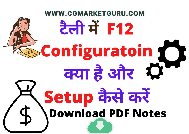 F12 Configuration in Tally in hindi